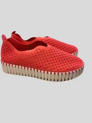 Ilse Jacobsen Raspberry Tulip Platform