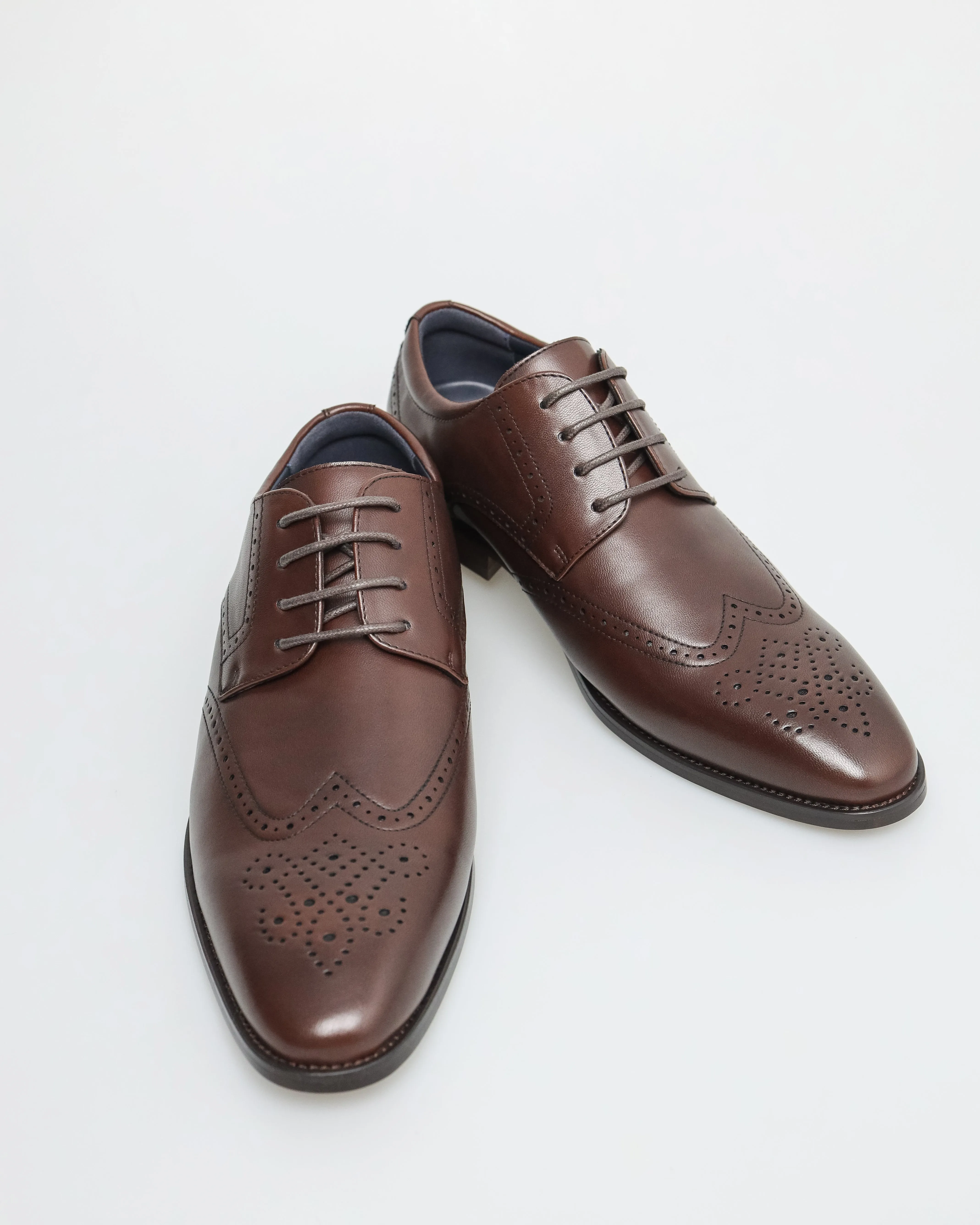Tomaz F402 Men's Brogue Toe Derby